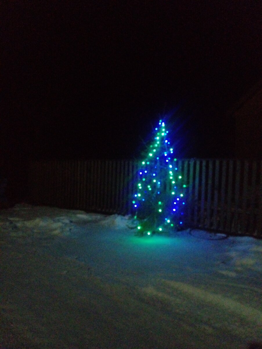 Ёлочки на улице