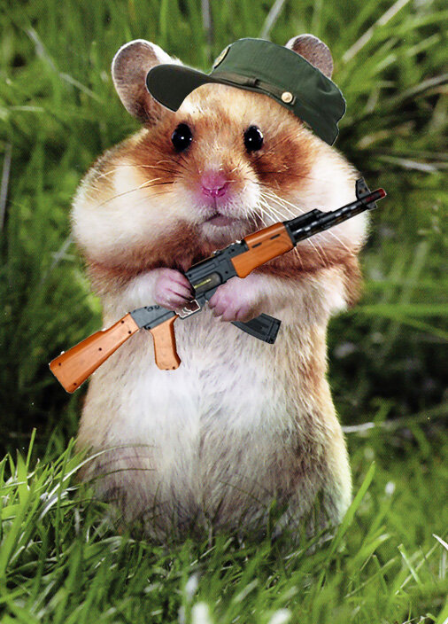 Боевой хомячок