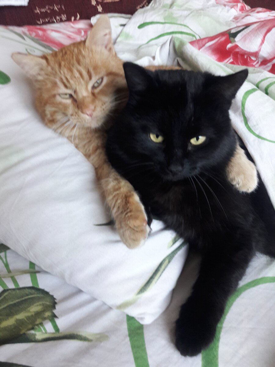 Доброе утро!  Фото автора