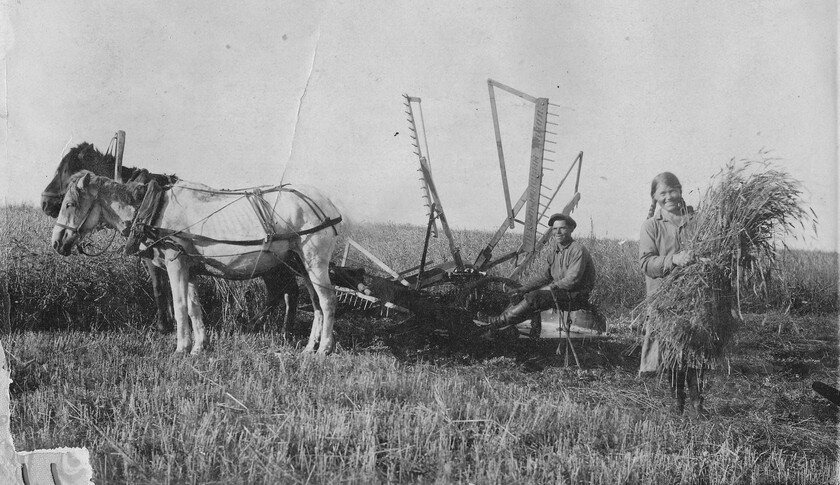 Конная жнейка для жатвы ржи и пшеницы.                                                 Источник: obrazslova.ru