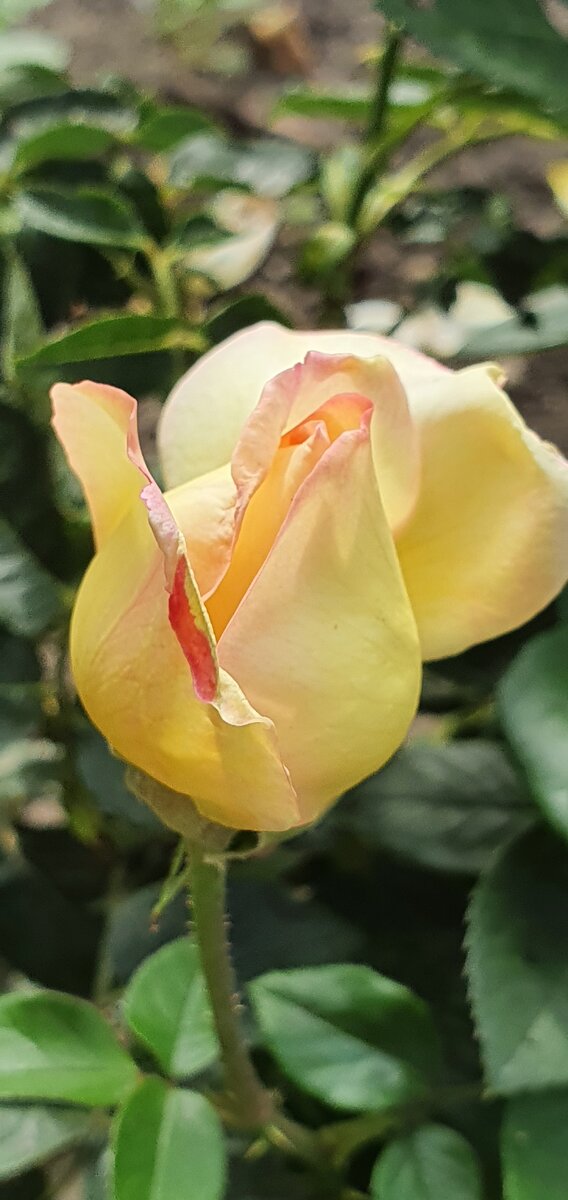 фото из личного архива