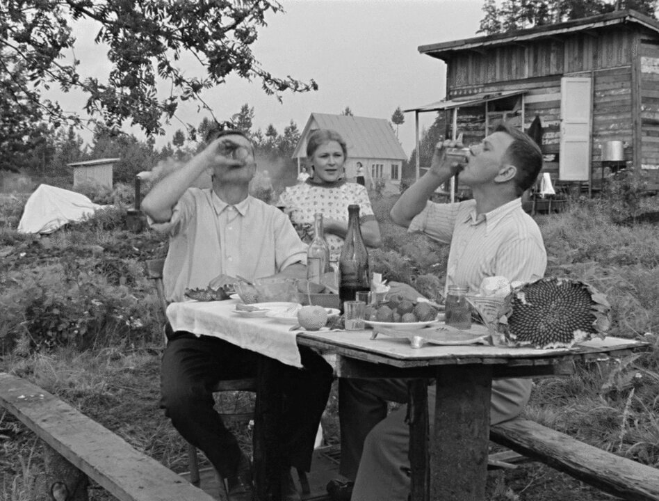 Фото из открытых источников. 