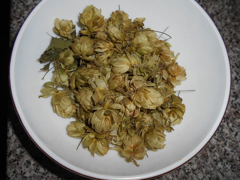 сухой хмель