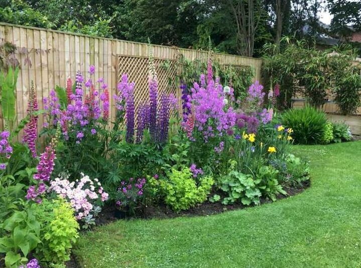 нюанс по цвету и по пирамидальной форме соцветия, а как выразительно получилось