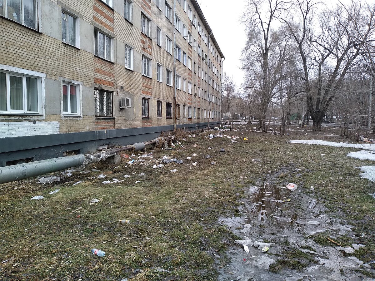 Только представьте, сколько в этом дома таких Вась живет?! Настоящий свинарник перед домом.