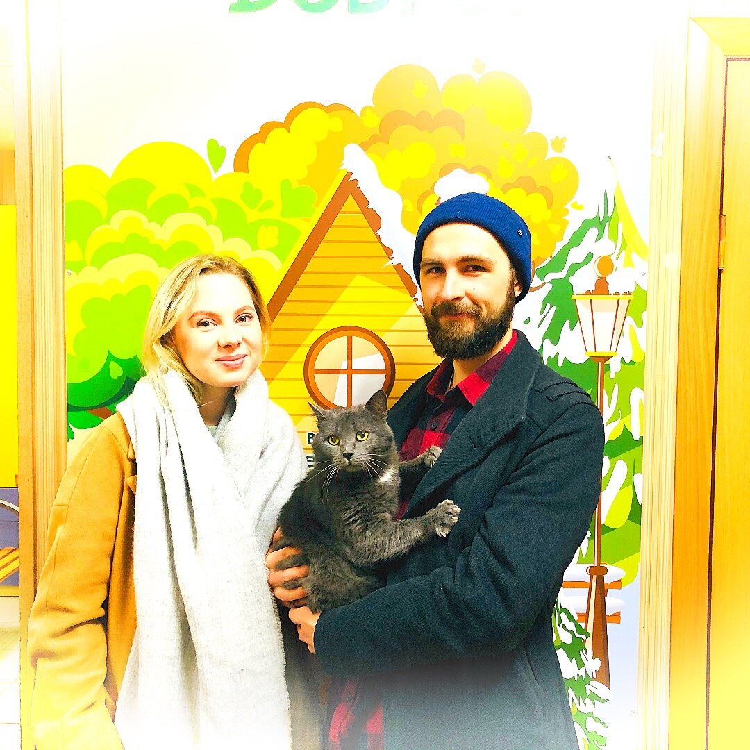 Кот Сильвер из приюта для бездомных животных