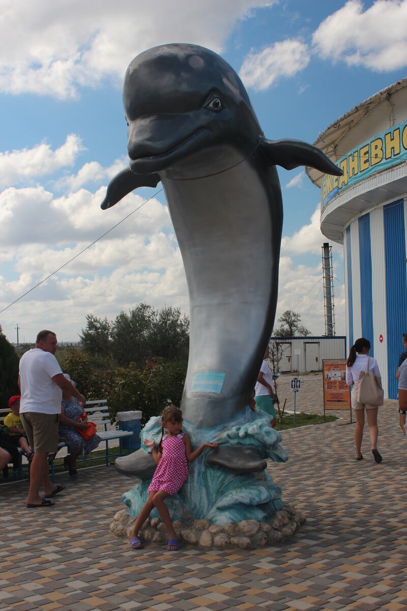 Дельфинарий немо феодосия. Дельфинарий береговое. Карадакский дельфинарий феодосия. Дельфинарий немо в крыму. Дельфинарий немо судак.