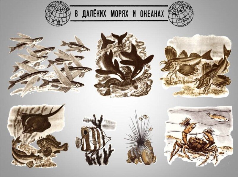 
Читатель станут участниками захватывающих приключений: исследователи погрузятся в морскую пучину в батискафе, аквалангисты будут вести репортаж с места событий, рыболовы раскроют секреты успешной рыбалки, а реки, моря и озера расскажут о себе сами - от первого лица.