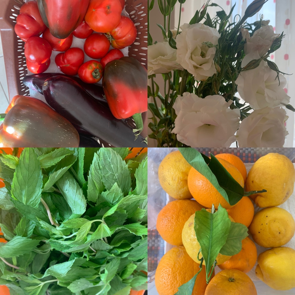 Главная причина побега с севера