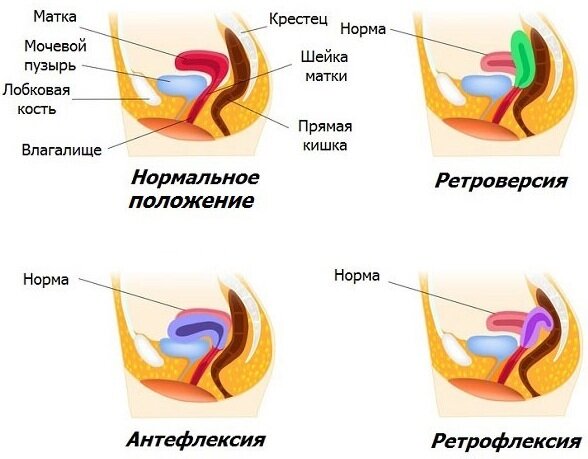 Женщина крупно показывает свой вареник