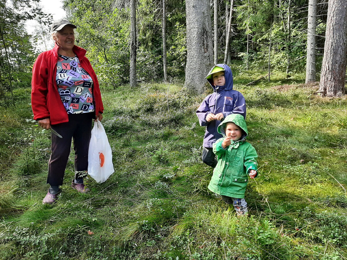 Иногда даже ходим вместе с внуками и их родителями. По хорошему лесу любят гулять все.