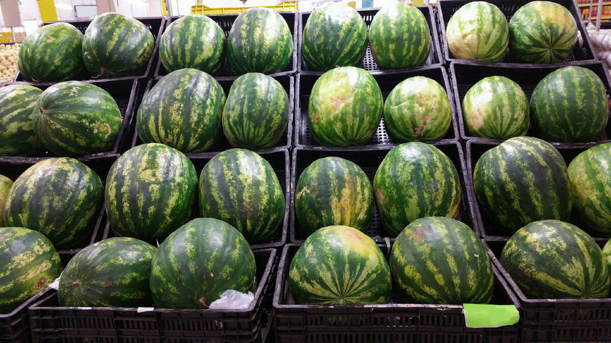 Арбузы.
