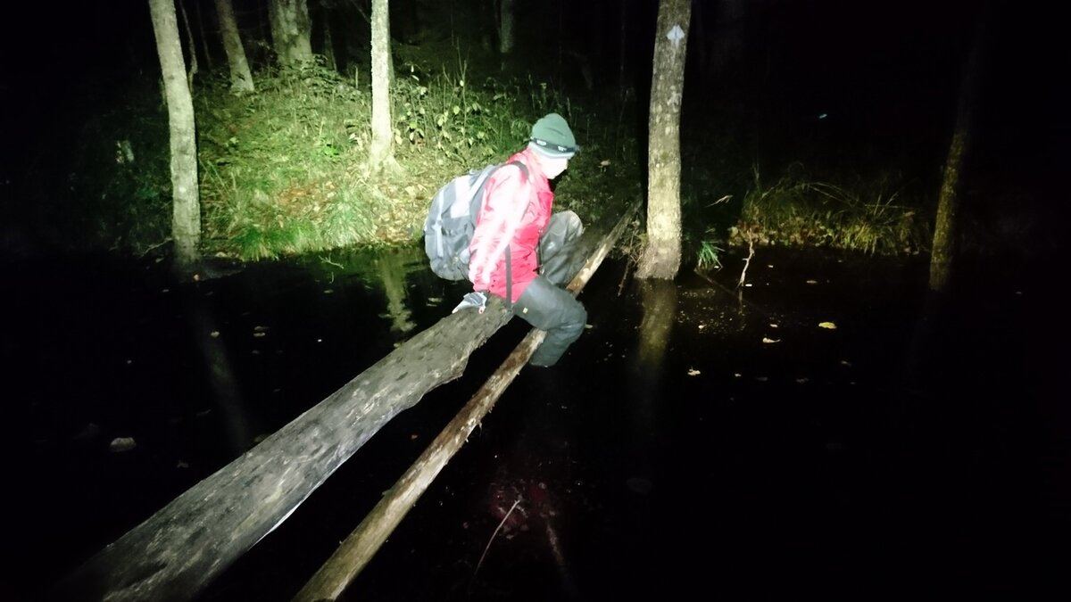 Дорога туда