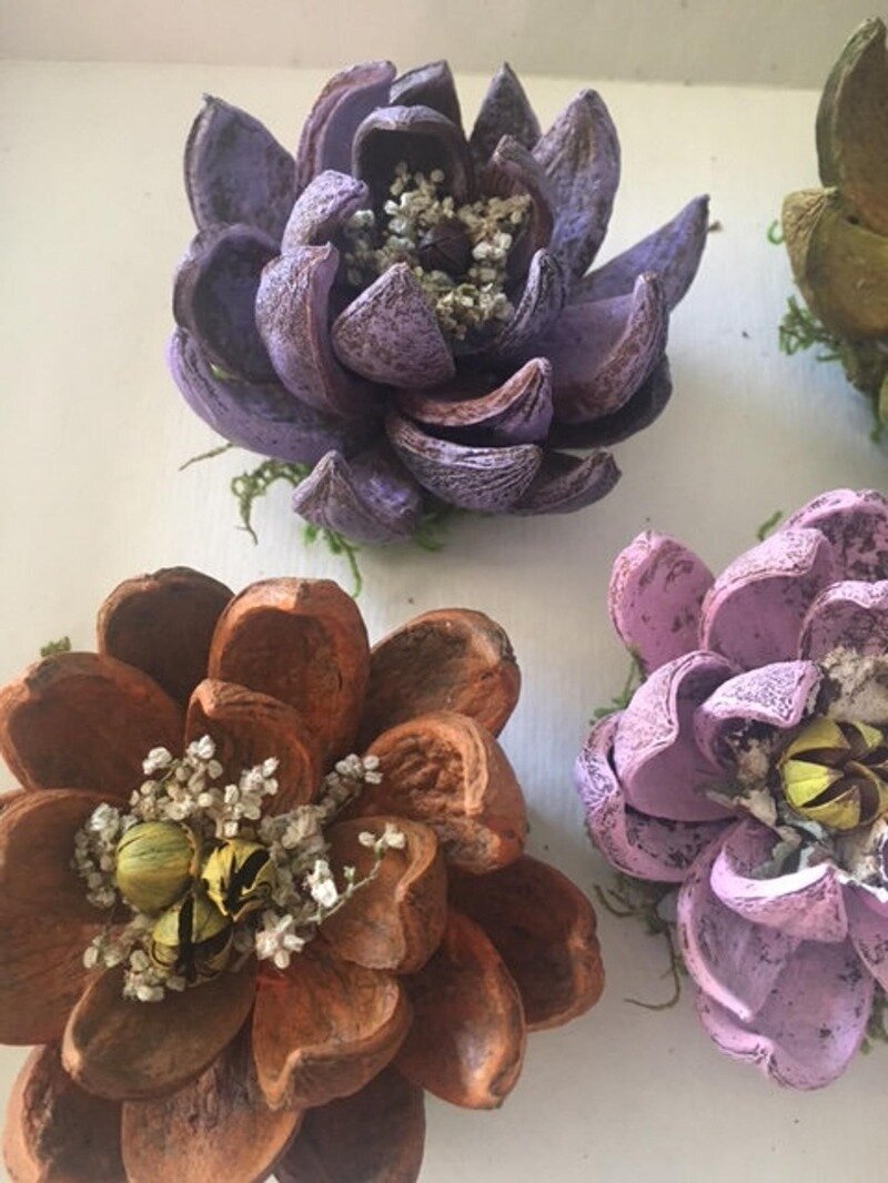 Фото drevologia.ru/wp-content/uploads/2019/08/1a80a7d1b3dea27d07e48bcdb06432bd.jpg