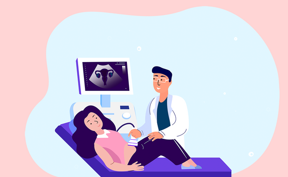 Фото: shutterstock / Alina Kvaratskhelia