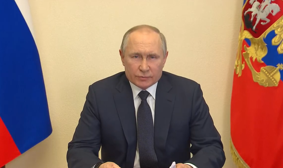 Фото: скриншот видео-совещания с сайта kremlin.ru 