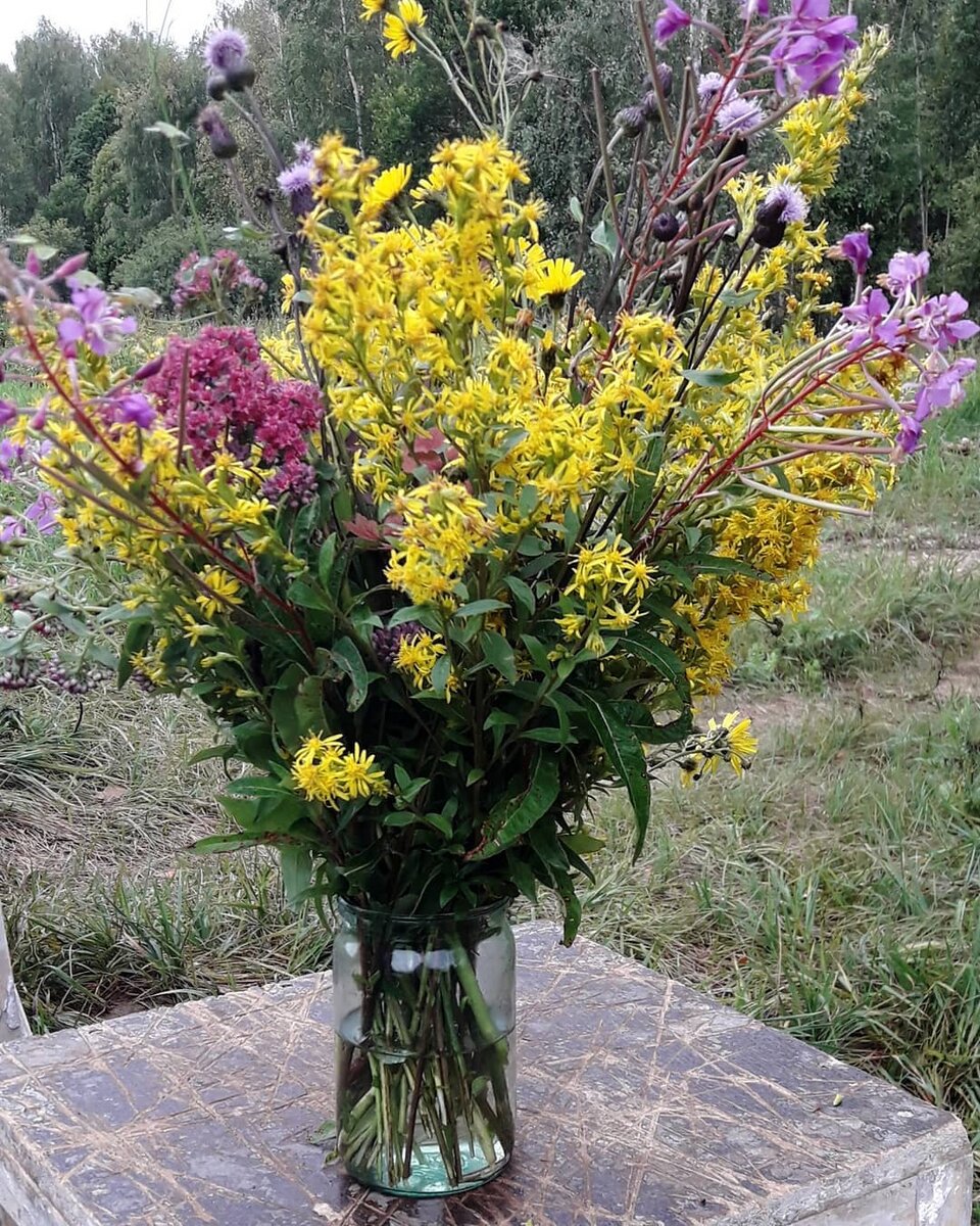 букет из полевых цветов прекрасен