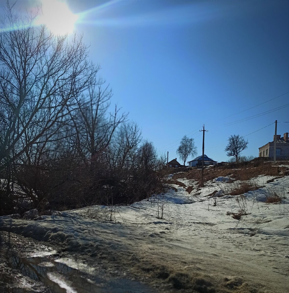 Альшань. Слева - кустарники по берегу ручья. 
