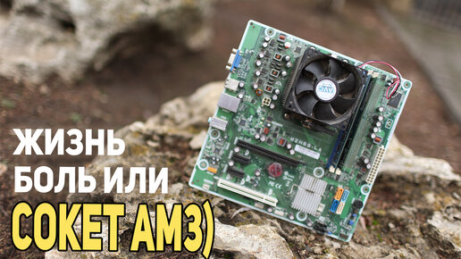 Можно ли выжить на сокет AM3? | НостальжиПК | Дзен