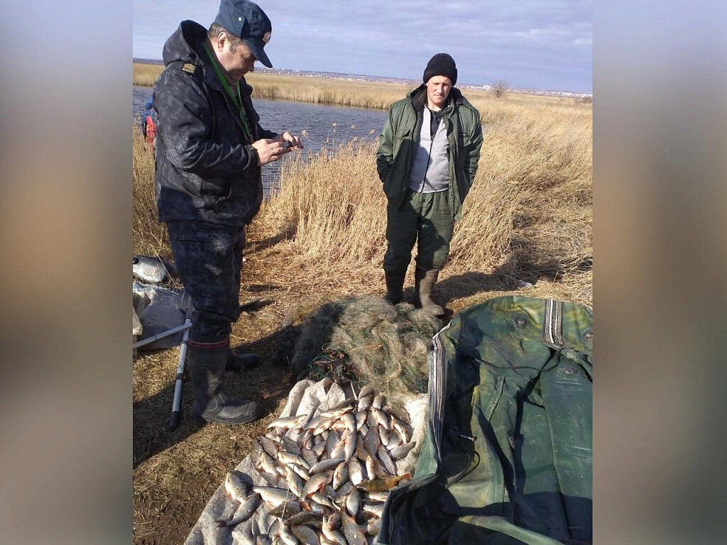 Браконьерство в беларуси презентация