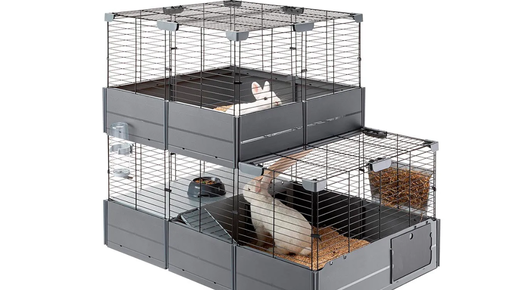 Общие требования к клеткам для декоративных кроликов