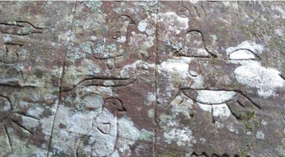 Загадочные письмена в парке Нового Южного Уэльса в Австралии