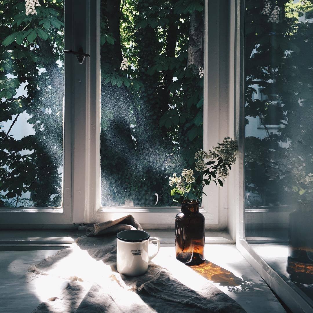 фото из интернета