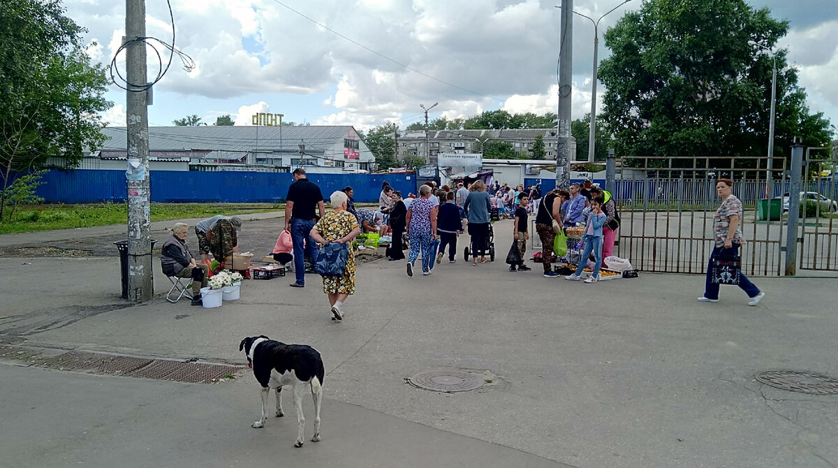 Заречный рынок: путешествие в 90-е годы без машины времени | Нижегородские  зарисовки | Дзен