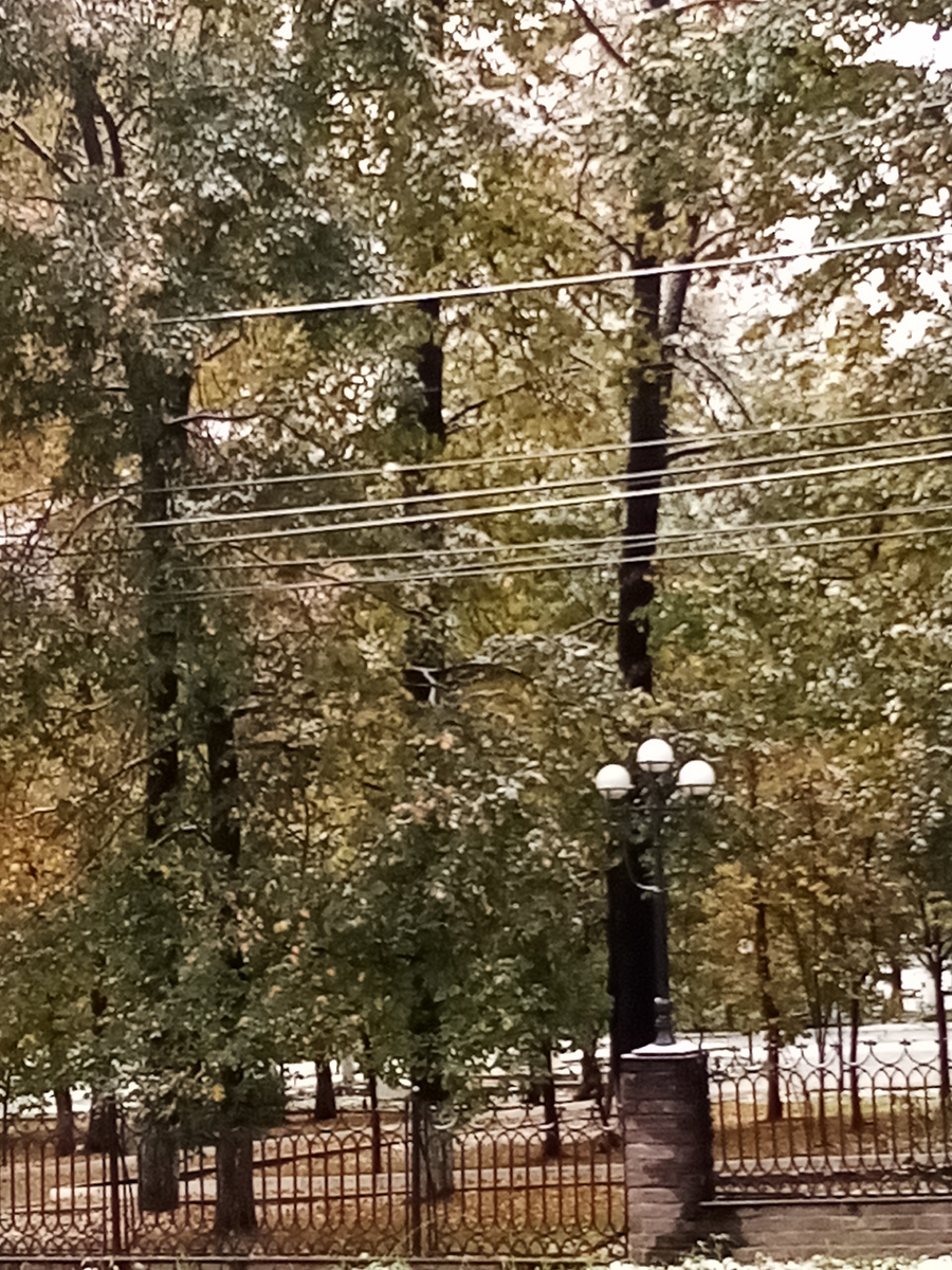 Седая осень. В парке немного припорошило. 