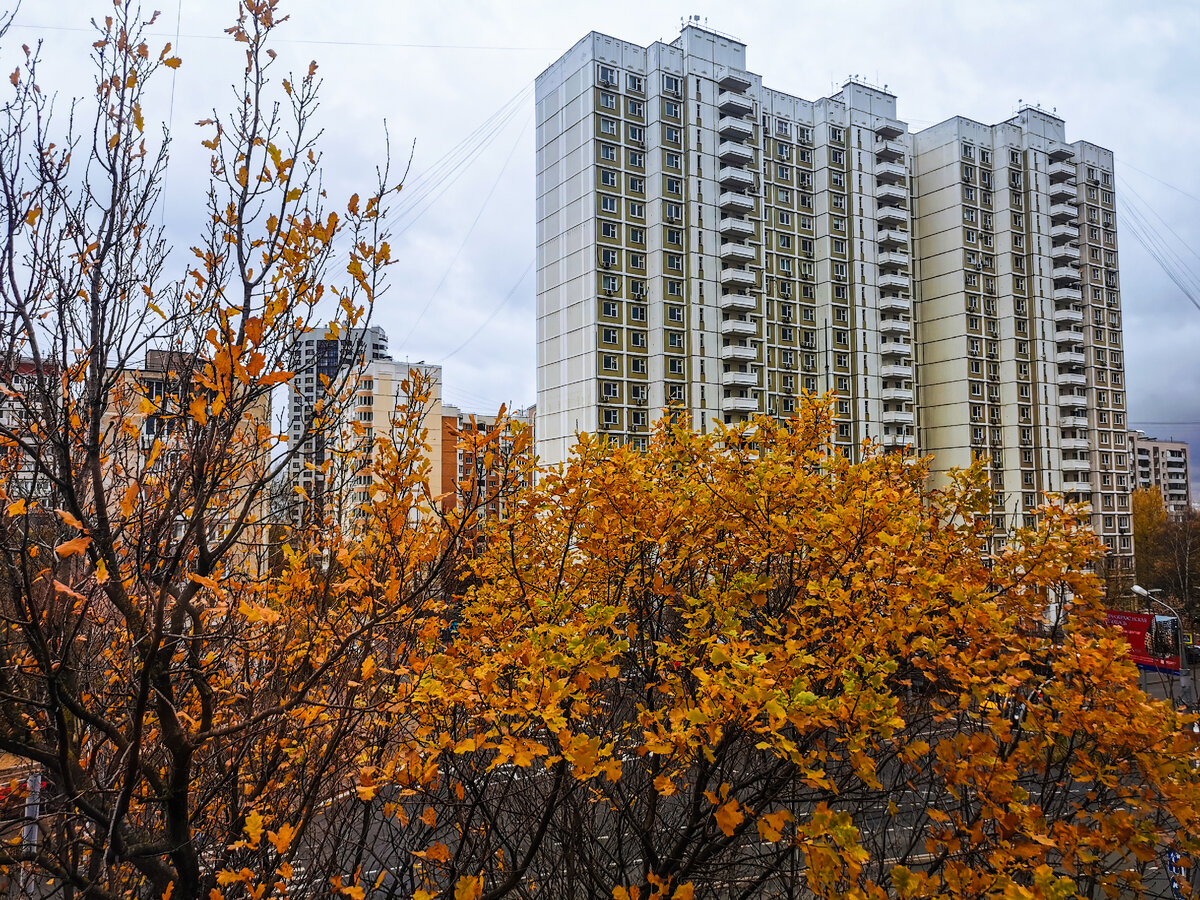 Утром.