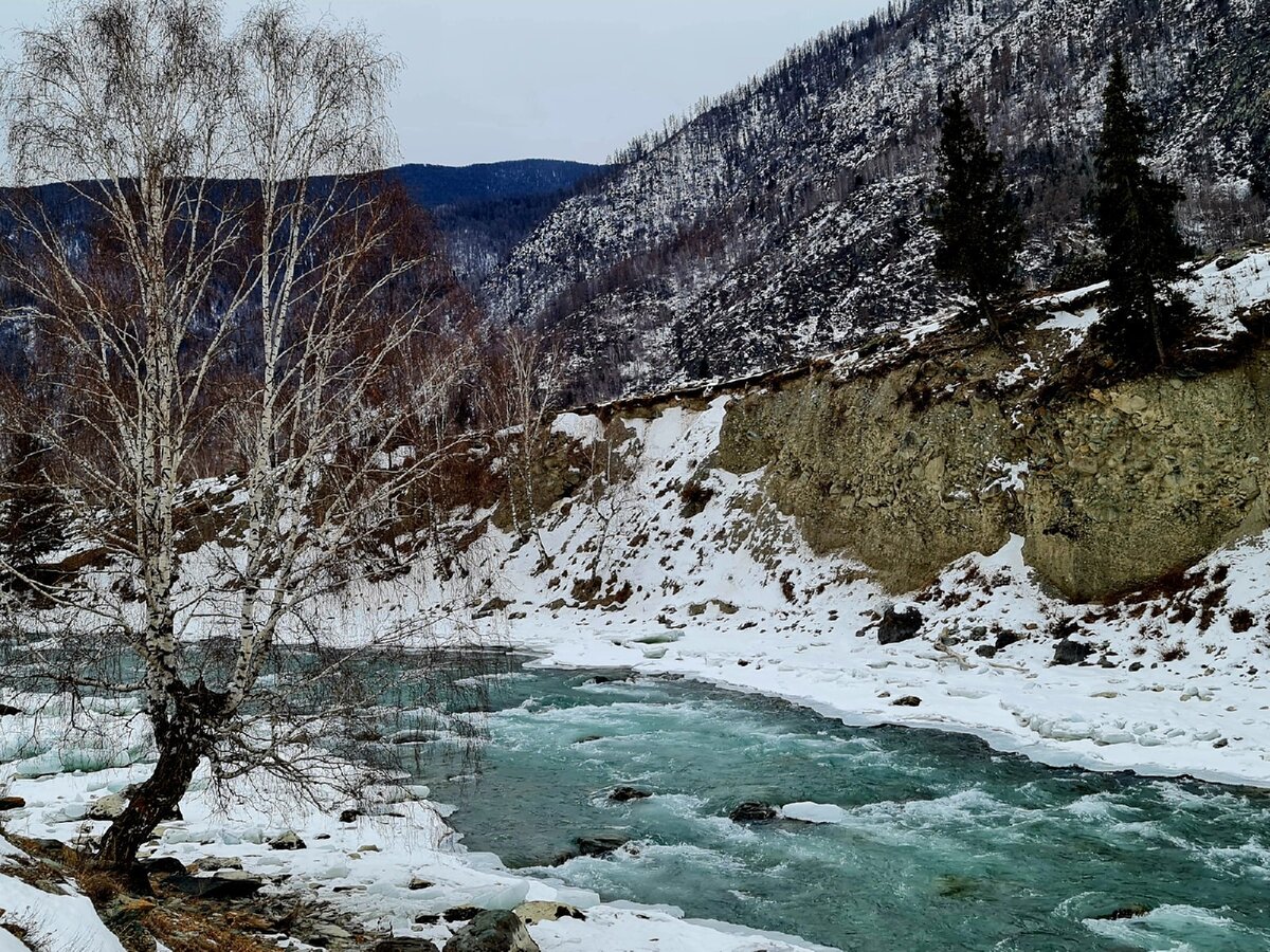 Тархатинский комплекс Алтай зимой