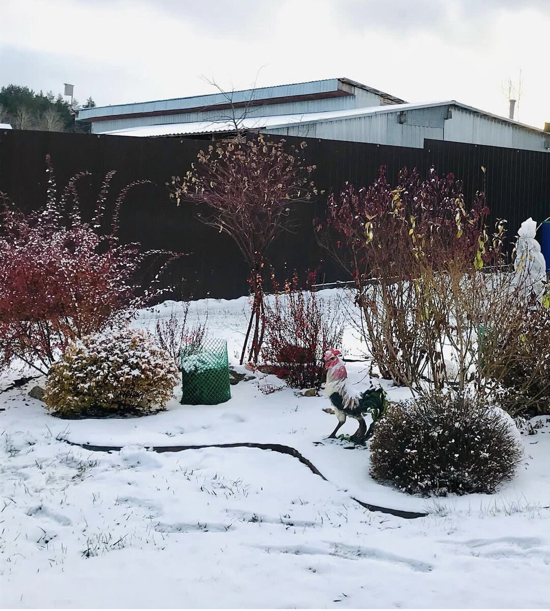 Ноябрь 2022 г