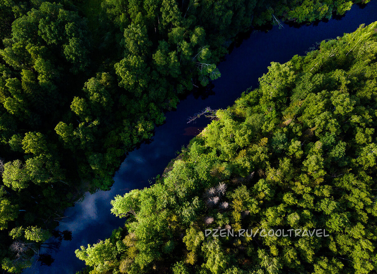 Дмитрий Кандинский