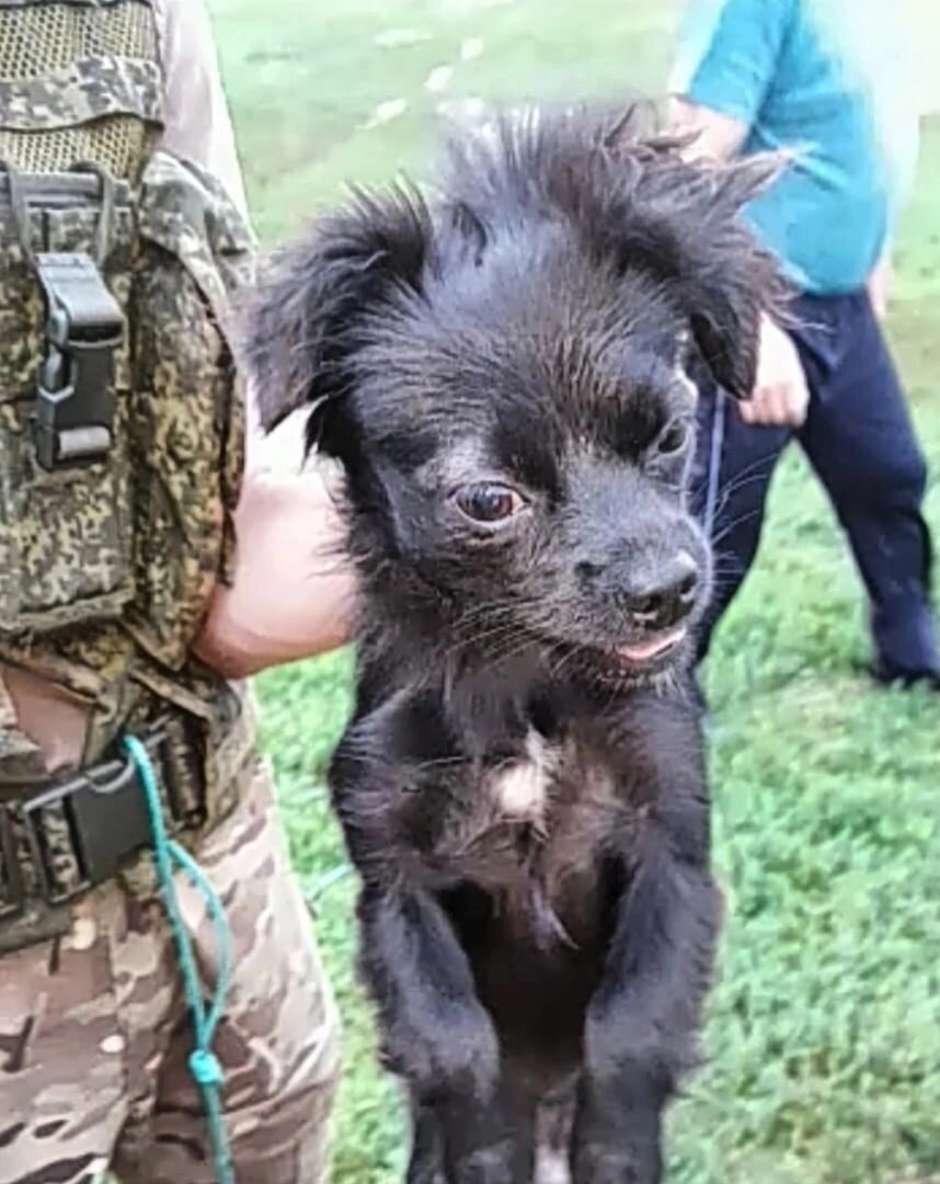 Малышка в "сетях" отлова