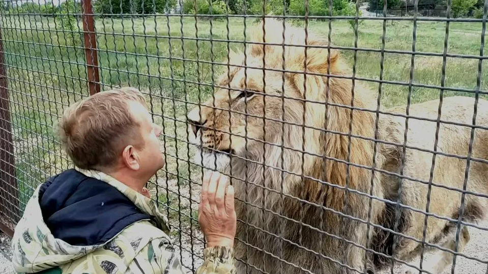Общение с хищниками тет-а-тет - доступны только одному человеку