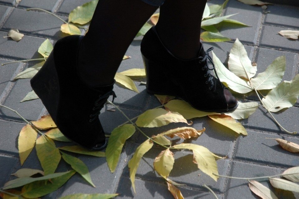     Солнечная, но холодная погода ожидает ростовчан во вторник. Геннадий БИСЕНОВ