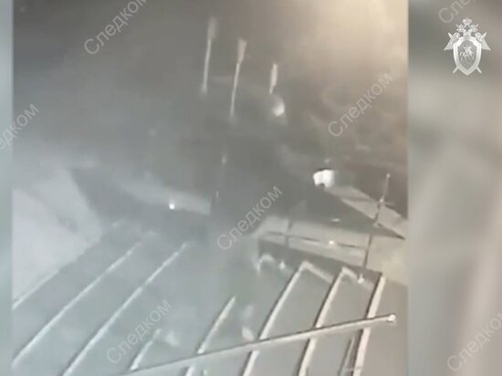     Скриншот видео с камеры наблюдения