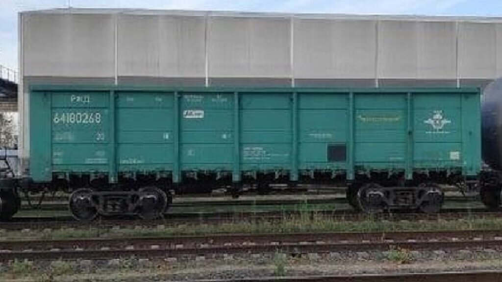    Фото: Соцсети Елена Стеценко