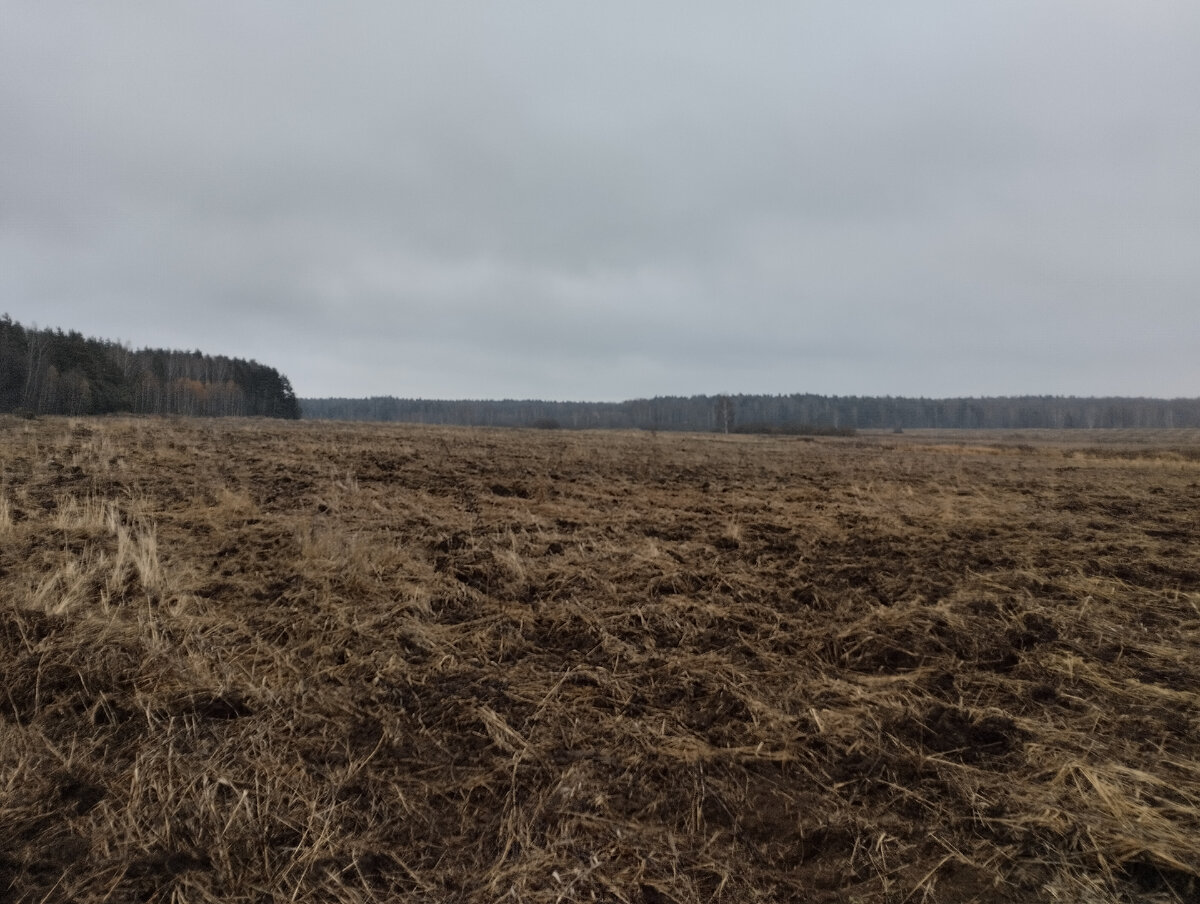 Распашка, но монеток тут не найти. Деревня по другую сторону дороги.