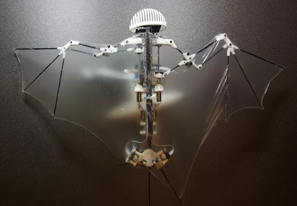 Фото: Sci. Robot