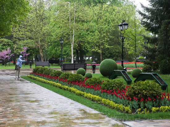     Фото: администрация Ставрополя