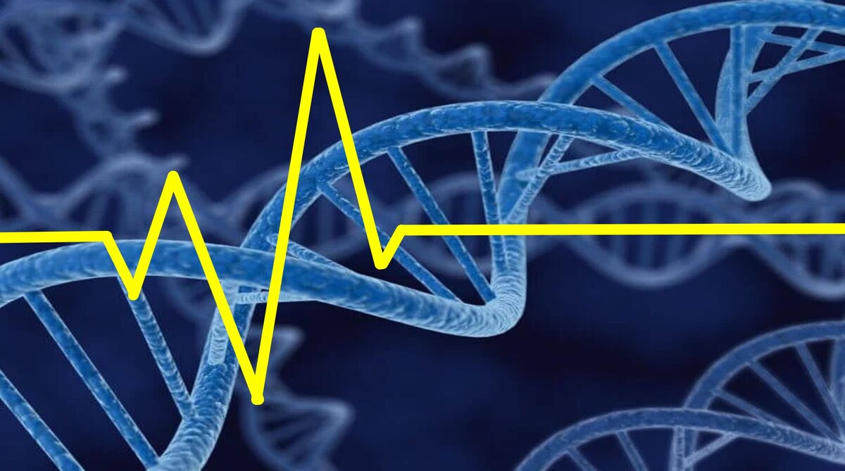 Коллаж сделан на основе иллюстрации: https://hi-news.ru/science/odnazhdy-my-smozhem-zakodirovat-vsyu-informaciyu-mira-v-neskolkix-litrax-dnk.html