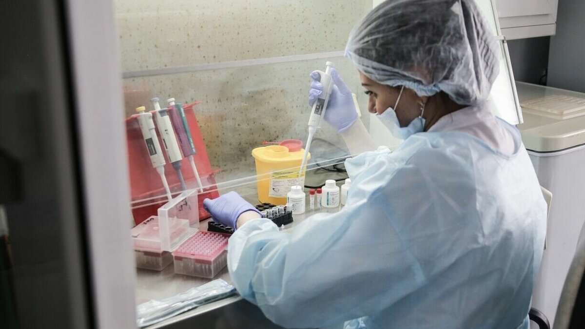     График работы детского автопоезда «Здоровье» в Приморье продлили до 15 декабря. Ранее рассчитывали, что поликлиника на колёсах, в составе которой узкопрофильные специалисты детского здравоохранения, будет курсировать до середины октября, но из-за тайфуна не удалось проехать по ряду сёл.