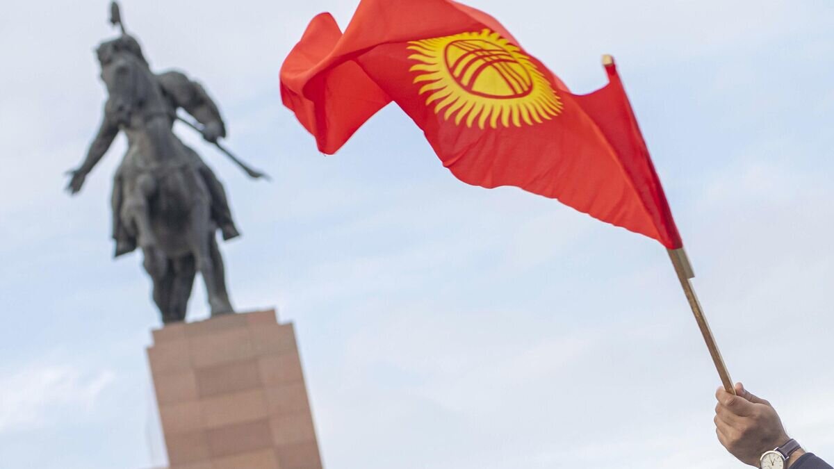    Флаг Киргизии в руке участника митинга в Бишкеке© Sputnik