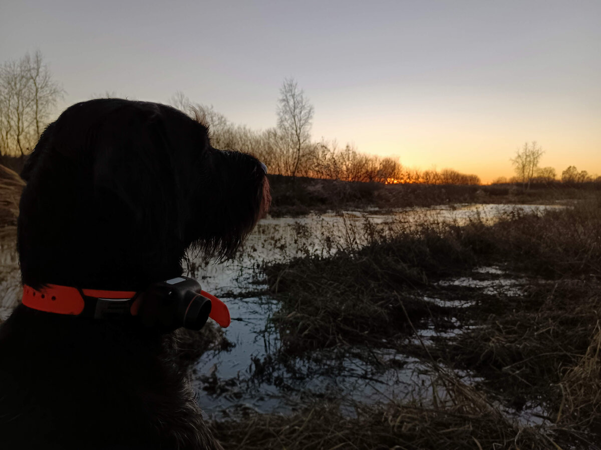 Созерцатель прекрасного!