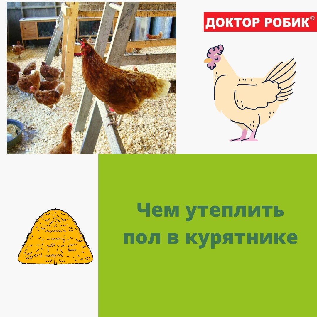 Чем утеплить пол в курятнике | Доктор Робик | Дзен