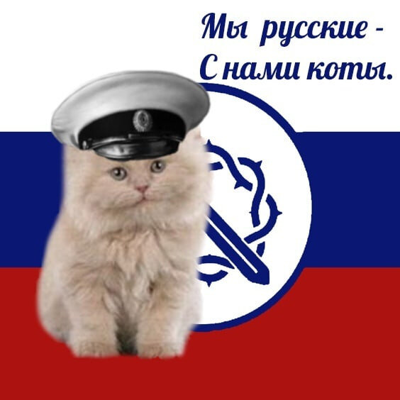 Мы русские  с нами коты