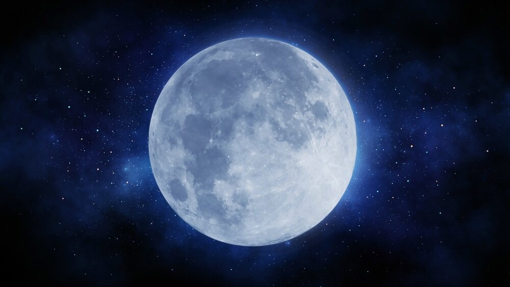   Фото: Shutterstock