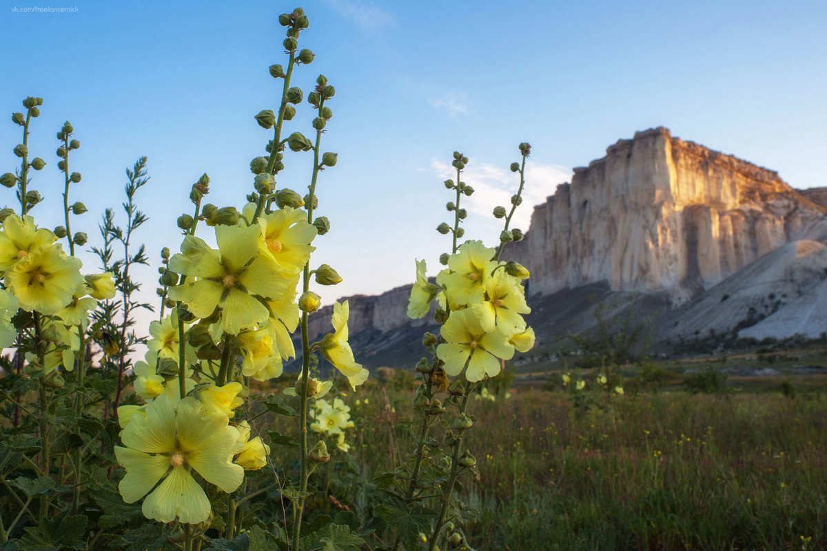Скала Ак-Кая. Фото: Н. Кононов