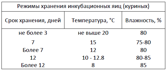 При какой температуре хранить инкубационное яйцо. При какой температуре хранить инкубационное яйцо